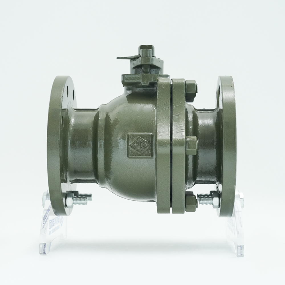 চাংশুই টেকনোলজি গ্রুপ কোং, লিমিটেড