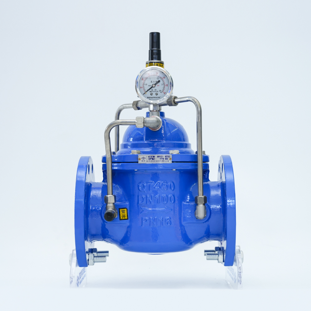 সেফটি প্রেসার হোল্ডিং/চাপ রিলিফ ভালভ 500X-16Q