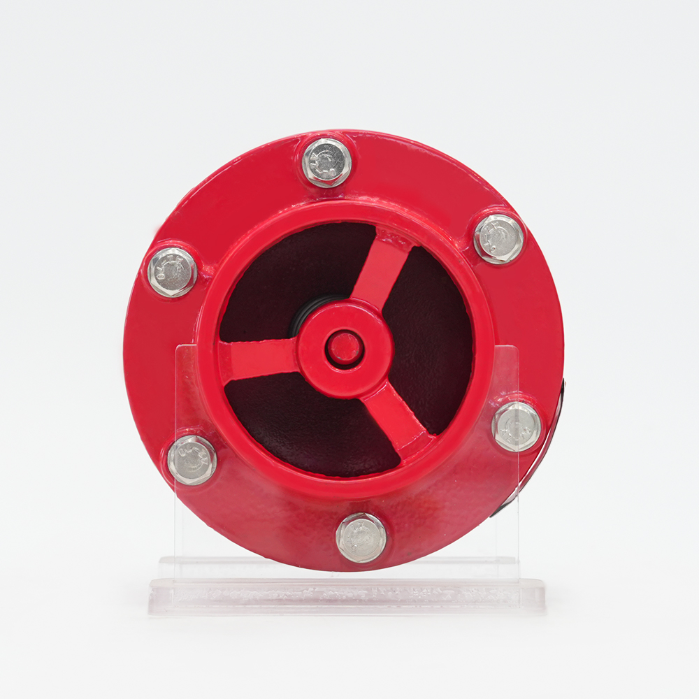 খাঁজযুক্ত সাইলেন্সার চেক ভালভ GHC41X-16Q