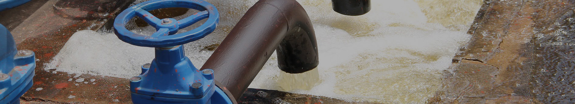 চাংশুই টেকনোলজি গ্রুপ কোং, লিমিটেড