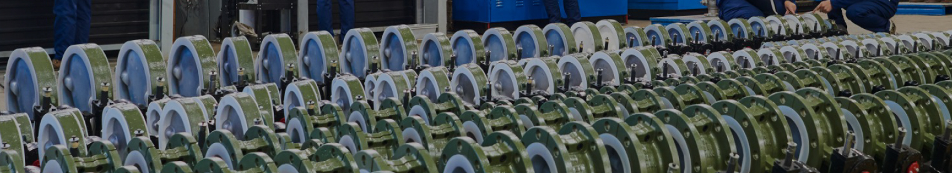 চাংশুই টেকনোলজি গ্রুপ কোং, লিমিটেড