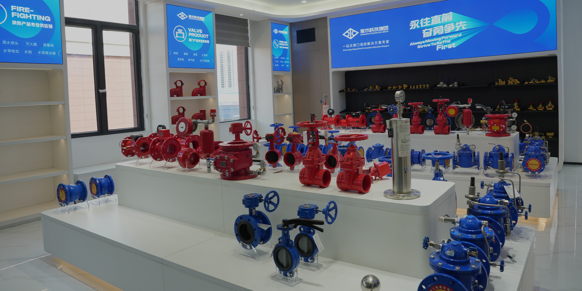 চাংশুই টেকনোলজি গ্রুপ কোং, লিমিটেড